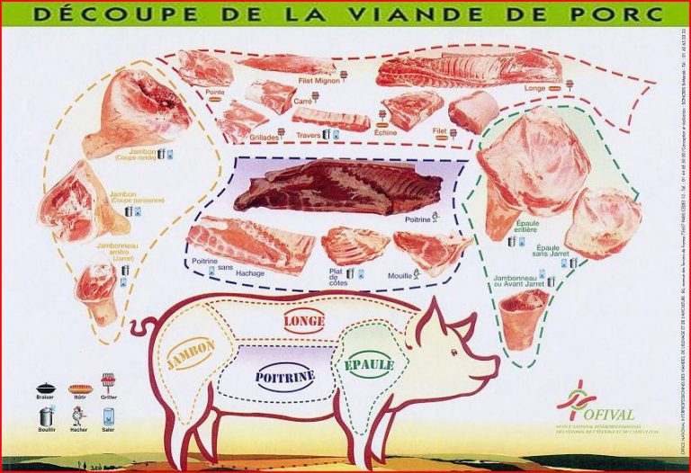 Le Morceau De Viande Francis Ponge Analyse