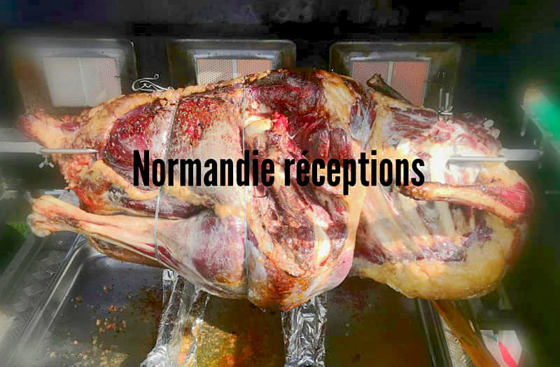 recette marinade autruche, autruche a la broche, recette autruche, mobi-grill